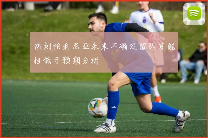 热刺帕利尼亚未来不确定留队可能性低于预期分析