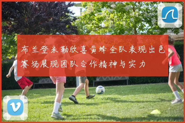 布兰登米勒欣喜黄蜂全队表现出色赛场展现团队合作精神与实力