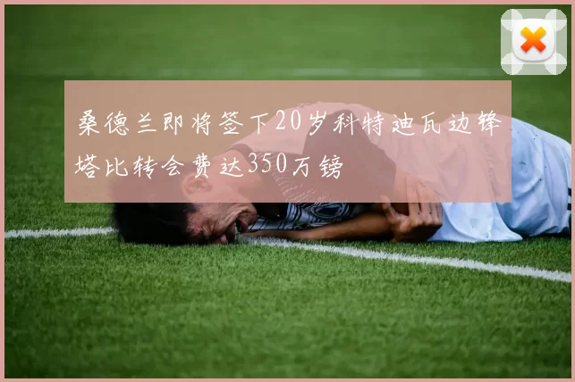 桑德兰即将签下20岁科特迪瓦边锋塔比转会费达350万镑